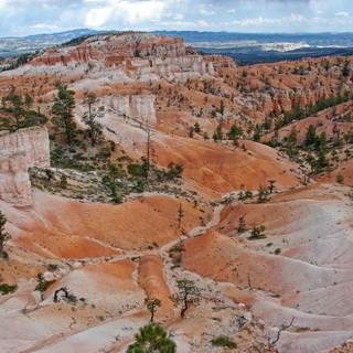 Bryce - Queens Garden Trail